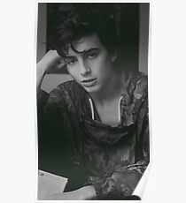 Póster timothee