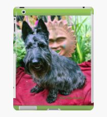 Amusing iPad Case/Skin