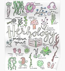 Póster Profesor de brotes de clase de Herbología