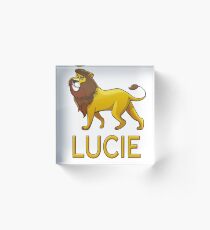 Lucie Lion Drawstring Bags Acrylic Block