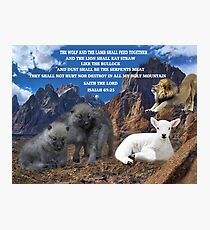 THE WOLF AND THE LAMB SHALL FEED TOGETHER ..ISAIAH 65:25..BIBLICAL PICTURE WITH SCRIPTURE AND OR CARD ECT.. Photographic Print