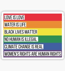 Intersectionality Rainbow Advocacy Flag Sticker