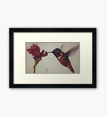 Delicate Framed Print