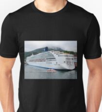 Large and Small Unisex T-Shirt