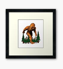 Stomping Grounds Framed Print