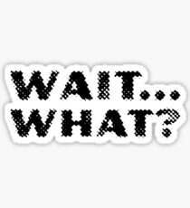 Wait... What? - Stoner Quotes Sticker