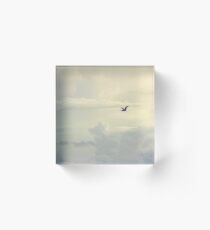 Flight of the Pelican Acrylic Block