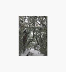 Narnia Art Board