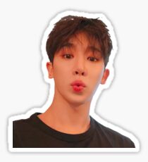 Wonho Sticker