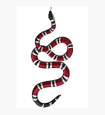 Vertical Snake Photographic Print