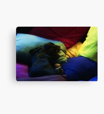 Link and Pillows Canvas Print