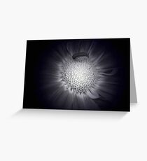 B/W Mum's The Word Greeting Card