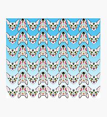 Blue Ombre Cats and Dogs Photographic Print