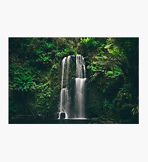 Beauchamp Falls Photographic Print