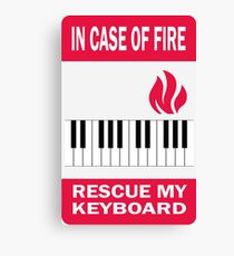 Save my keyboard Canvas Print