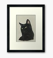 Black Cat Framed Print