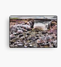 There Canvas Print
