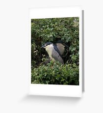 Hidden Greeting Card