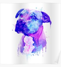 Pit bull Watercolor, Pit bull Painting, Pit bull Portrait, Pit bull art, Pit bull illustration Poster