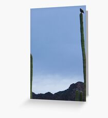 Saguaro Greeting Card
