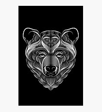 Bear Photographic Print