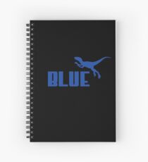 Blue Spiral Notebook