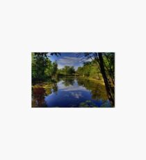 "The Marsh" Art Board