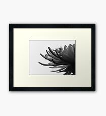 Digits Framed Print