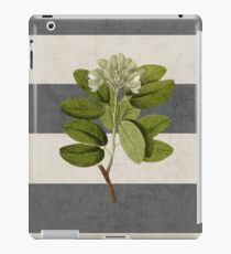 Vinilo o funda para iPad rayas botánicas 5