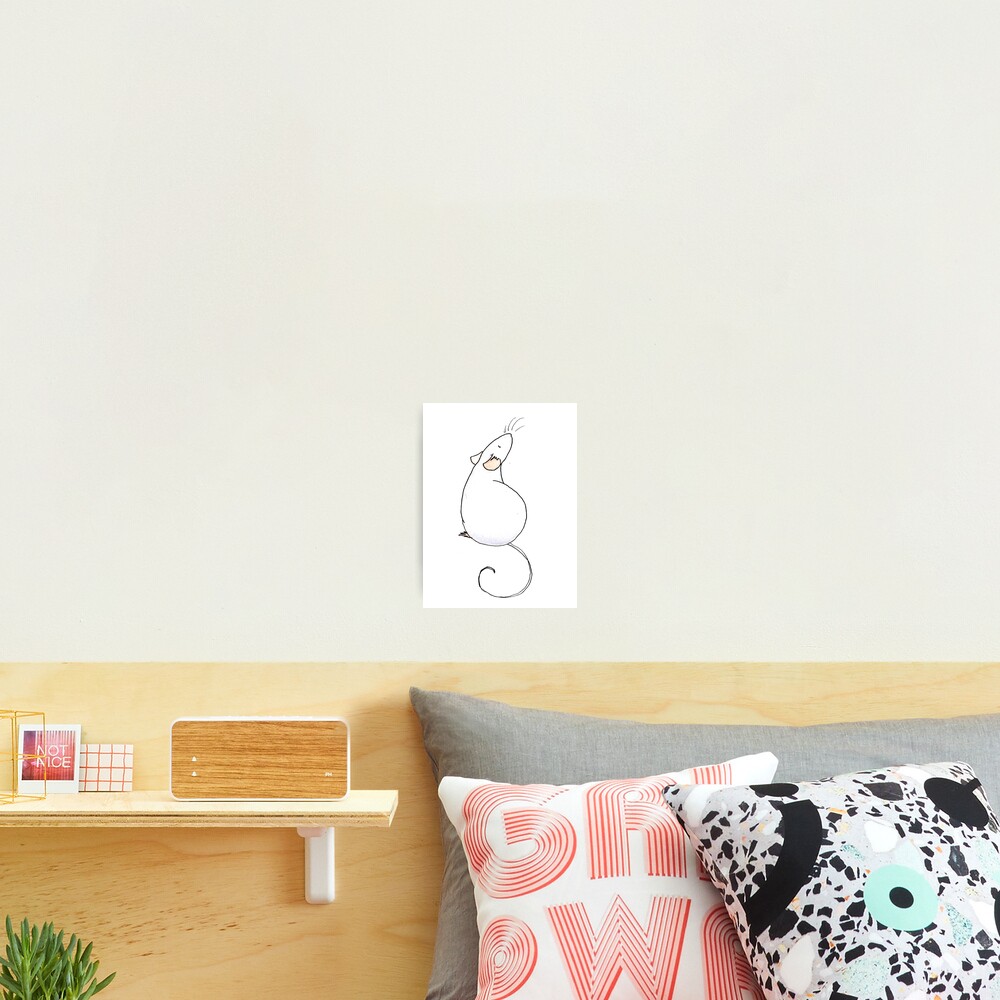 Little Roan Rat Photographic Print