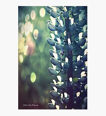 Dreams of Summer Photographic Print
