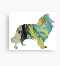 Border Collie Metal Print