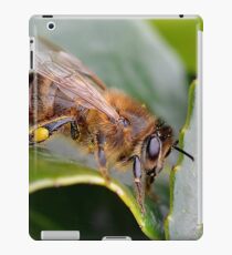 Macro Bee iPad Case/Skin