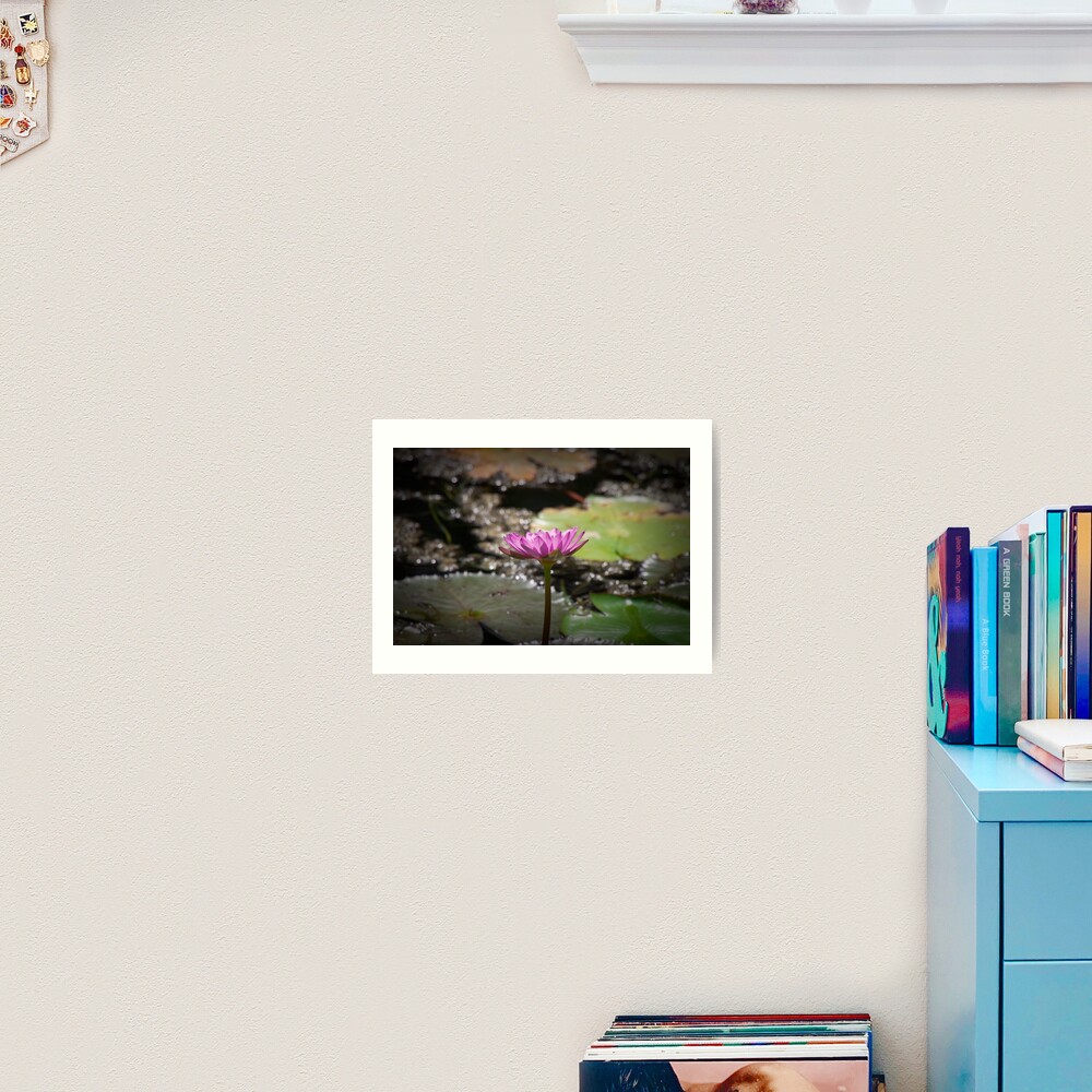 Water Lilly Art Print