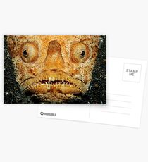 Scary! Postcards