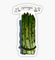 watercolor hand drawn vintage illustration of asparagus Sticker