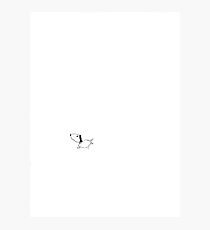 Dogy Photographic Print