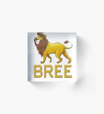 Bree Lion Drawstring Bags Acrylic Block