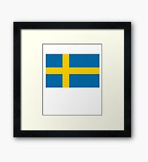 Sweden Flag / Swedish Flag Framed Print
