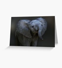 DUMBO Greeting Card
