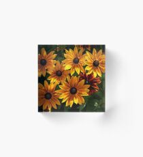 Orange Daisies Acrylic Block