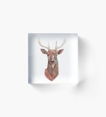 Prongs Two Acrylic Block