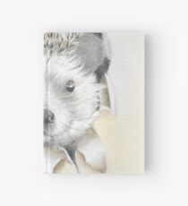 Hiding Hedgehogs Hardcover Journal