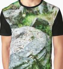 Archaeological Site Graphic T-Shirt