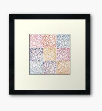 Evolution Framed Print