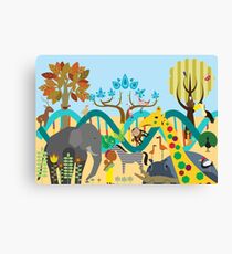Evolution Canvas Print
