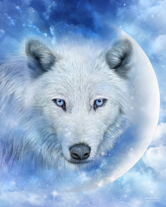 White Wolf Moon By Carol Cavalaris Redbubble