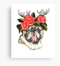 Prince Lala Canvas Print