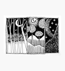 Three Moon Forest Photographic Print
