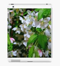 The Blooms ! iPad Case/Skin